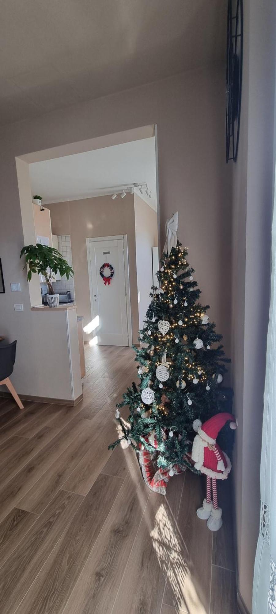 Alemanni54 - Apartment ボローニャ エクステリア 写真